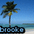 Pixelated beach scene with palm tree, blue sky, and ocean view beneath text reading 'brooke' in light blue letters on black background.