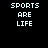 Four pixelated display "SPORTS ARE LIFE" text with red background bars shifting across different words in each
