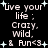Black background with white pixelated text reading "live your life; Crazy. Wild. & Fun<3" surrounded by small light blue plus signs and stars.