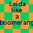 Pixelated text reads "Leida like a boomerang" over green and orange checkered background with diamond pattern.