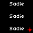 'Sadie' text icons on black background with red symbols changing across frames: plus signs, stars, Xs, dots, and ellipses