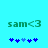 Green text 'sam<3' on cyan background with blue and light blue pixelated symbols below, two variations of symbol arrangement.