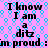 Pixelated text on a pink background with blue circular patterns, repeating phrases about being proud of being 'a ditz' in black block letters.