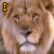 Animated contact sheet of a lion's face with text and heart symbol across five frames showing subtle facial expression changes.