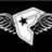 Pixelated grayscale icon of a stylized skull with wing-like extensions on both sides, set against solid black background.