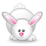 Animated white bunny with pink inner ears and nose, displaying multiple facial expressions