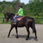 A pixelated image shows a person riding a dark horse in an outdoor setting with greenery and a light-colored ground, alongside pink text reading "I Love Lady Bug!" on a black background.