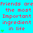Static image with cyan background displaying repeated red text 'Friends are the most Important ingredient in life' and green four-leaf clover symbols.
