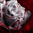 A silver and red rose with a glossy texture appears in three against a dark red background, the rightmost showing a slightly different angle