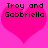 Two identical pink heart-shaped icons with black pixelated text reading "Troy and Gabriella" on a solid pink background.