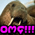 A four- shows a walrus with changing text overlays: 'OMG!!!' in pink, 'It's a...' in green, 'WALRUS!!!' in blue, and '<3' in yellow