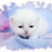 Pixelated image of a white cat-like character with closed eyes, pink nose, and open mouth showing teeth against pastel blue and purple background.