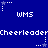 Blue background with white text and star icons; 'WMS' and 'Cheerleader' repeated horizontally, stars animate between frames.