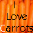 A static image of orange carrots with repeated text 'Love' and 'Carrots' in black pixelated font, some letters partially white.