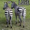 Two zebras stand side-by-side on grass, with a pixelated heart and 'LOVE' text above them.