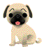 Four pixelated pug dog frames arranged in a 2x2 contact sheet with varying facial expressions and poses on a gray background.
