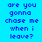 Pixelated text on a blue background with pink highlighted sections displaying the phrase "are you gonna chase me when i leave?" in a