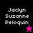 Four quadrants display 'Jaclyn Suzanne Pelouquin' text with a pink star on black and black star on bright pink backgrounds.