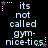 Pixelated text on black background with pink star accents, repeating 'its not called gym-nice-tics' in two with star placement variations