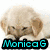 Four dog images arranged in a with cyan text overlays on each section