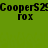 Green background with black pixelated text repeating 'Coopers29' and 'rox' in two