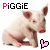 six identical pig images with varying text and heart symbols above a white background