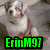 A four- of dog images with green text overlays on each
