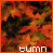 Animated sequence of autumn-themed pixel art showing a leafy background with orange and green foliage, transitioning through partial text fragments to spell 'autumn' in white block letters.