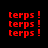 Red pixelated text 'terps !' repeated in a pattern on black background with alternating light beige horizontal bars