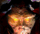 Animated sequence of a stylized devil face with glowing eyes and shifting facial features against dark background.