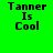 Four display "Tanner Is Cool" text with varying background colors and pixelation levels