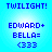 Blue pixelated text on light blue background reads TWILIGHT! EDWARD+ BELLA= (333) twice in a