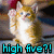 Pixelated image of a light brown and white cat with blue eyes, standing upright against a blurred background with text reading 'high five?!' in cyan block letters.