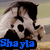 A cartoon character with dark hair and a white face appears in six , each showing the name "Shayla" in different colored text below