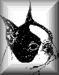 Black-and-white animated icon of a stylized bat-like head with pointed ears and circular eye, set against gradient backgrounds in varying shades.