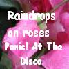 Pink roses with green stems and leaves fill the background, overlaid with white pixelated text reading "Raindrops on roses Panic! At The Disco".