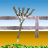 Animated contact sheet showing eight sequential frames of a cartoon corn stalk character moving across a fence in an autumn field setting with blue sky and yellow ground.