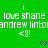 Green background with white pixelated text reading 'i love shane andrew linbo' repeated twice, each followed by '<3!' and a blue heart symbol.