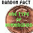 A static image of a U.S. penny with green text overlaid, showing variations in the text across multiple identical copies.