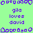 Pixelated green background with purple text and icons arranged in a pattern, showing repeated phrases 'gila loves david' across multiple
