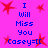 A static image with bright pink background, red star shapes scattered throughout, and blue text reading "I Will Miss You Casey=" in two identical vertical sections.