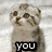 A four- shows a pixelated cat with text overlays reading 'you', 'ate', 'my', and 'cookie?'