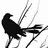Black silhouette of a bird-like creature with long tail feathers and multiple thin appendages against a transparent background, rendered in low-resolution pixel art style.