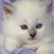 Pixelated close-up of a light-colored animal face with dark eyes and nose, set against a soft purple background.