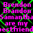 Pixelated text repeats 'Brendon Brandon Samantha are my bestfriend' over a green on black background with no visible animation changes