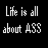 Black background with white pixelated text arranged in a , displaying phrases about 'ASS' and related actions