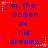 Red background with blue pixelated text reading 'in the women of his dreamz' repeated in a , surrounded by white and pink star-shaped pixel decorations