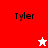 Four display the name 'Tyler' with a white star on red background and a red star on white background