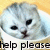 Pixelated image of a light gray cat with black eyes and nose, positioned above text reading 'Help please' on a gradient background.