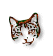 A pixelated cat head with brown and white fur, green-tinted ears, and a closed mouth on a white background.